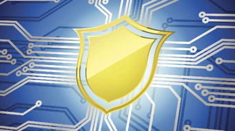 2019年蒼南縣網(wǎng)絡(luò)安全宣傳周啟動(dòng) 聚焦網(wǎng)絡(luò)安全軟件開發(fā)，活動(dòng)精彩不容錯(cuò)過